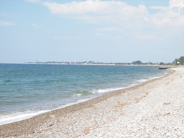 f:id:fleurdulapin:20210808230035j:plain