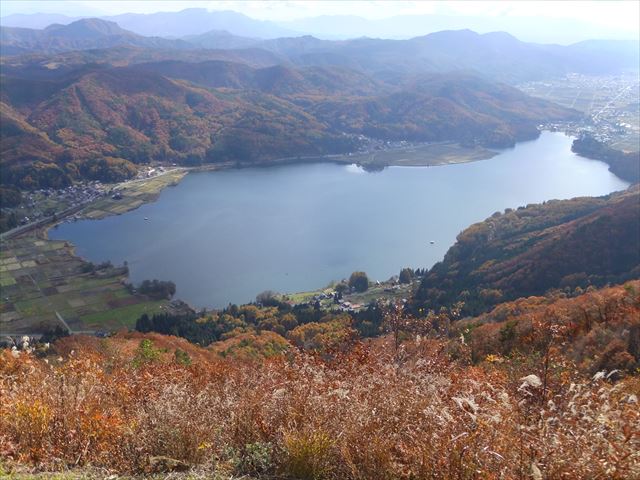 f:id:fleurdulapin:20211107094647j:plain