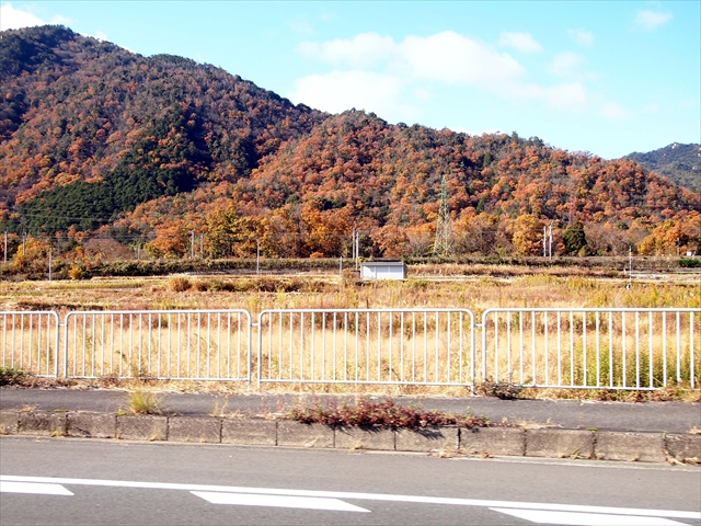 f:id:fleurdulapin:20211205222014j:plain