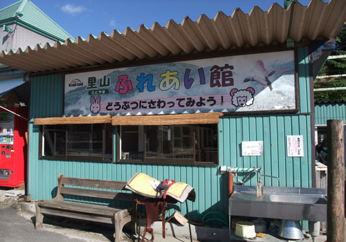DSCF7805.jpg