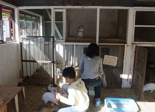 DSCF7807_R.jpg