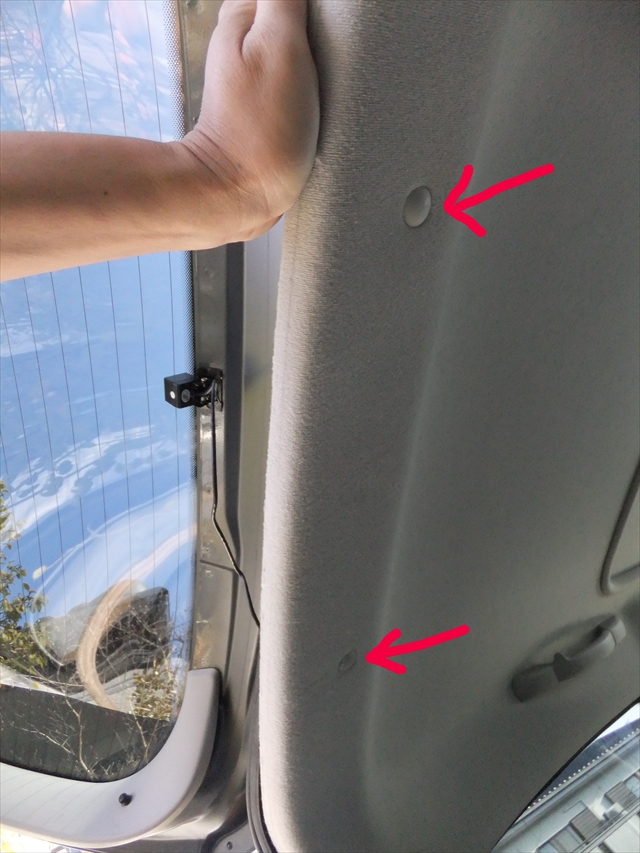 f:id:fleurdulapin:20220131214317j:plain