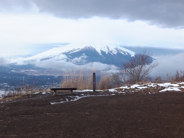 DSCF7091.jpg