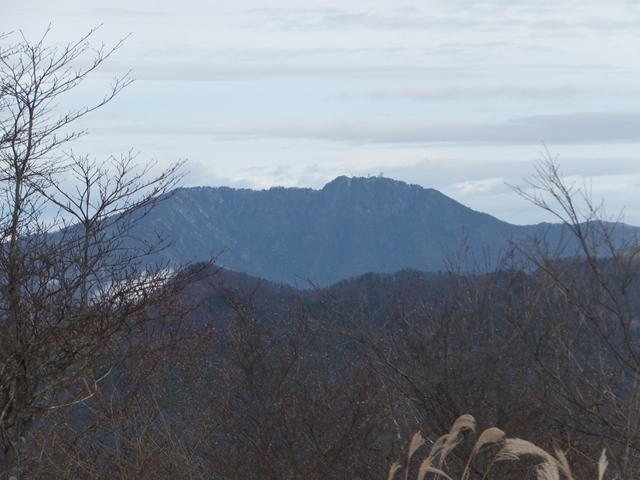 DSCF7097.jpg