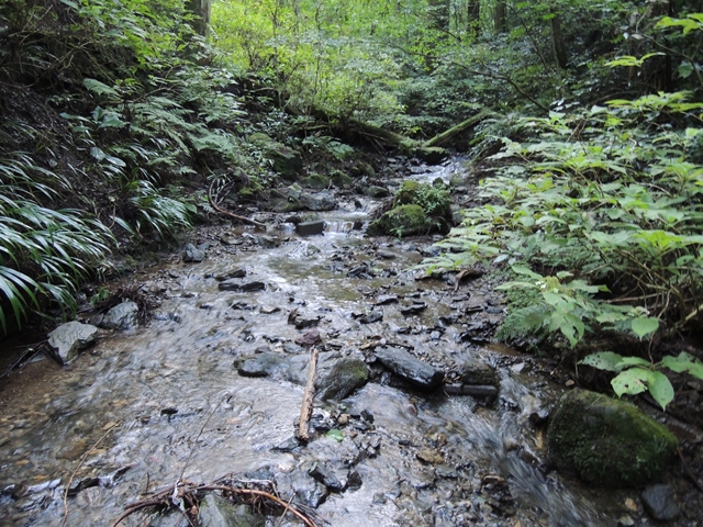 DSCN1527_R.jpg