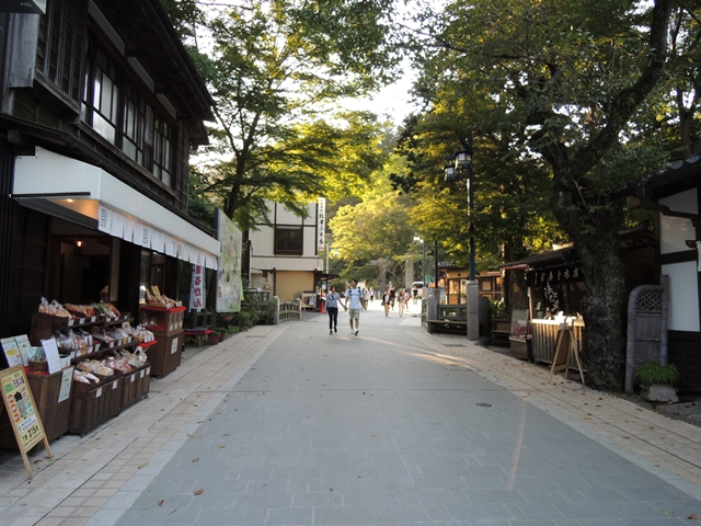 DSCN1539_R.jpg