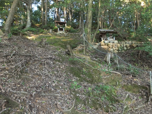 DSCF8291_R.jpg