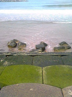 f:id:fleurette:20110607145528j:image f:id:fleurette:20110607145528j:image