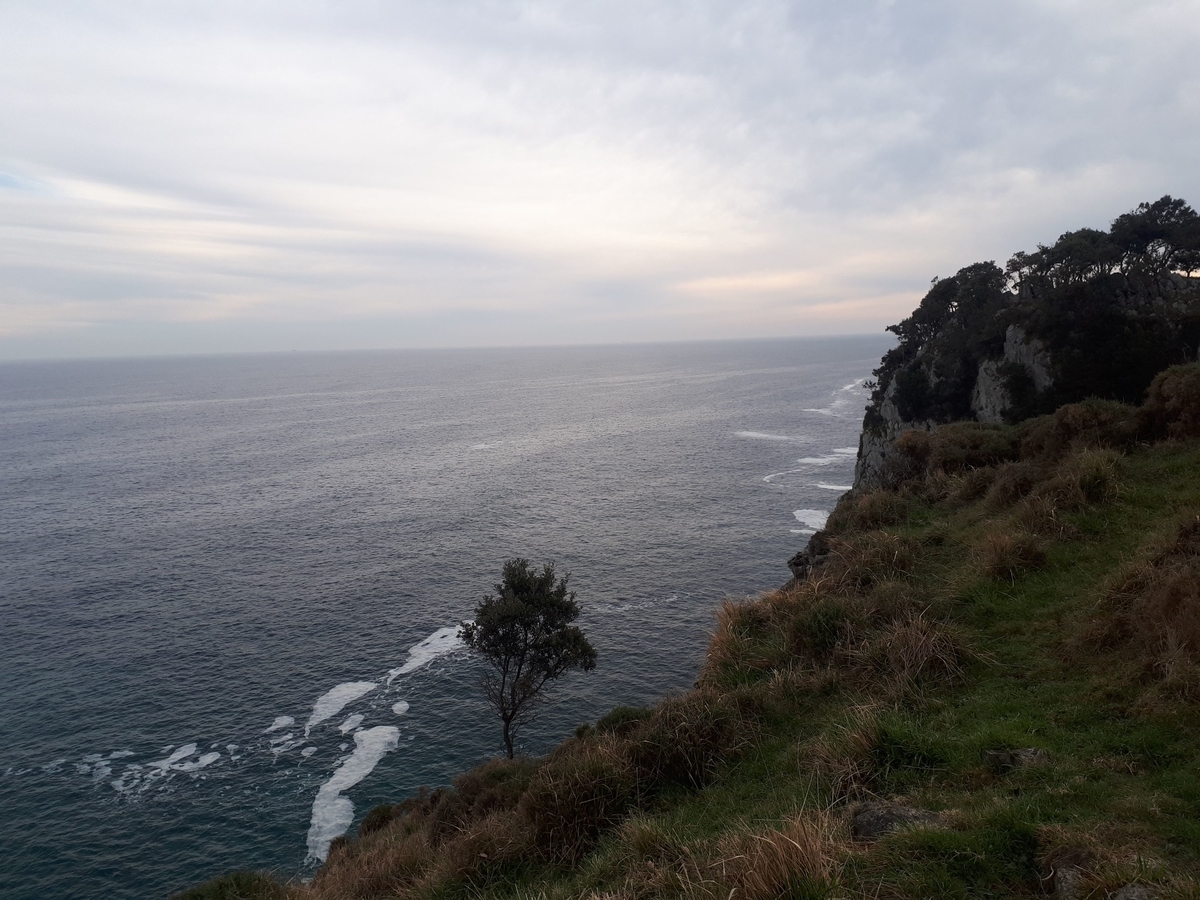 f:id:fleuve_rouge:20190323025418j:plain