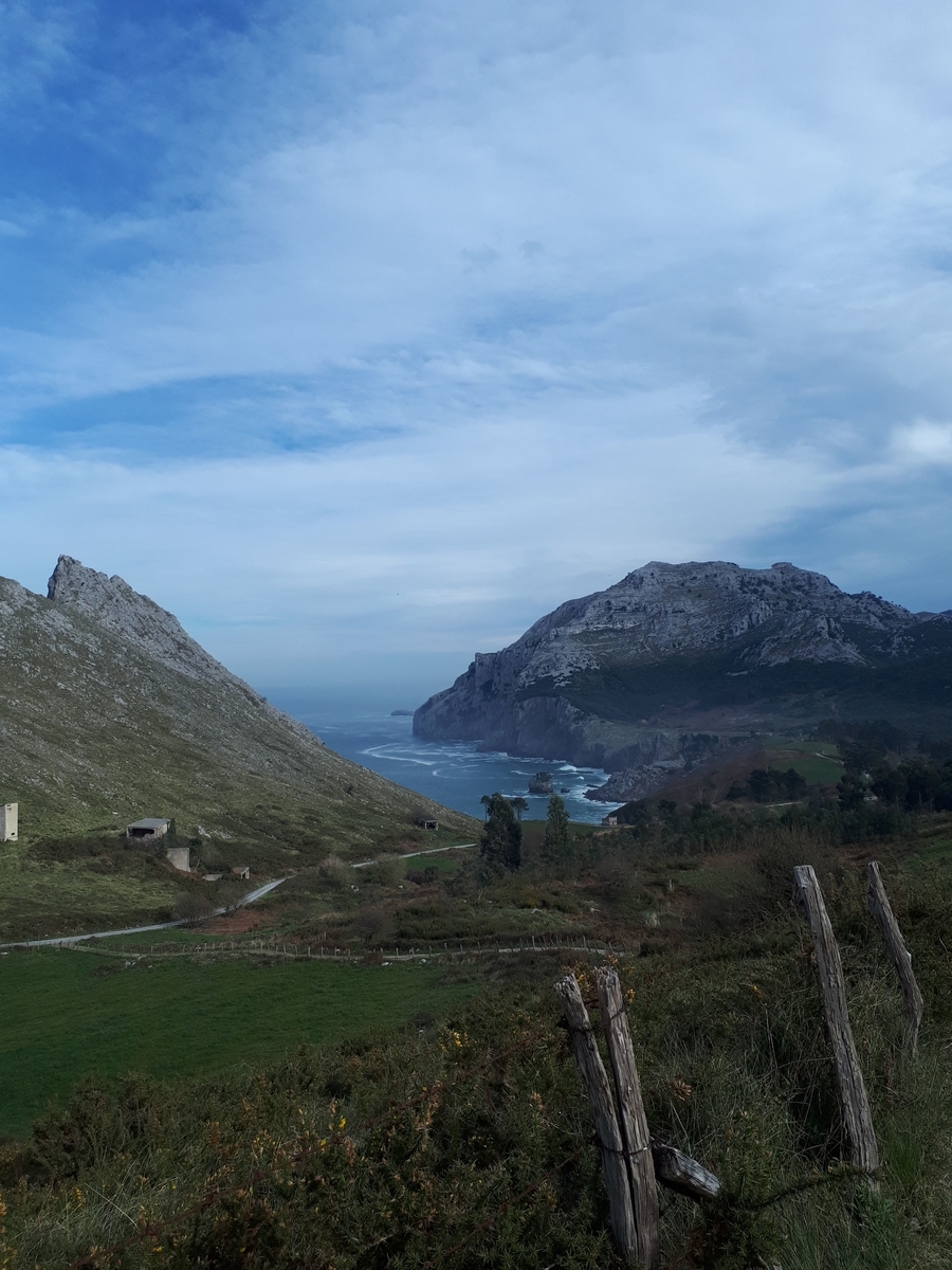 f:id:fleuve_rouge:20190323025729j:plain
