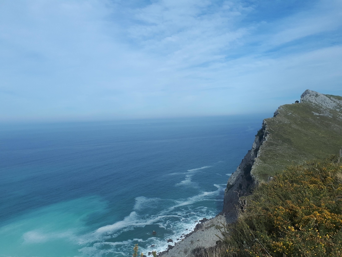 f:id:fleuve_rouge:20190323025809j:plain
