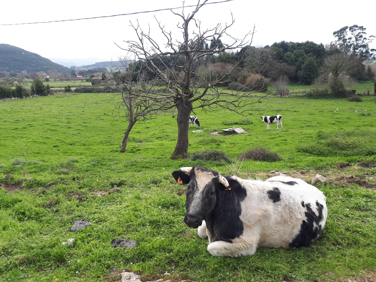 f:id:fleuve_rouge:20190326003437j:plain