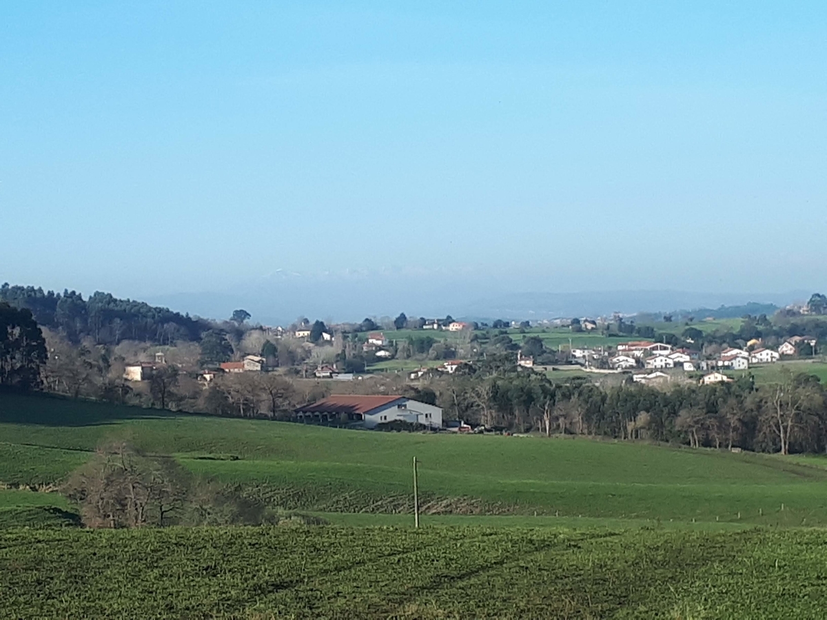 f:id:fleuve_rouge:20190403223615j:plain