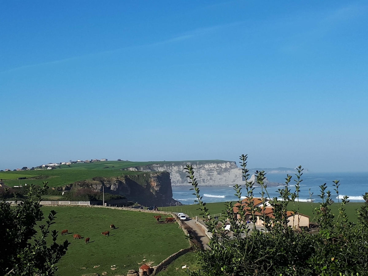 f:id:fleuve_rouge:20190403223644j:plain