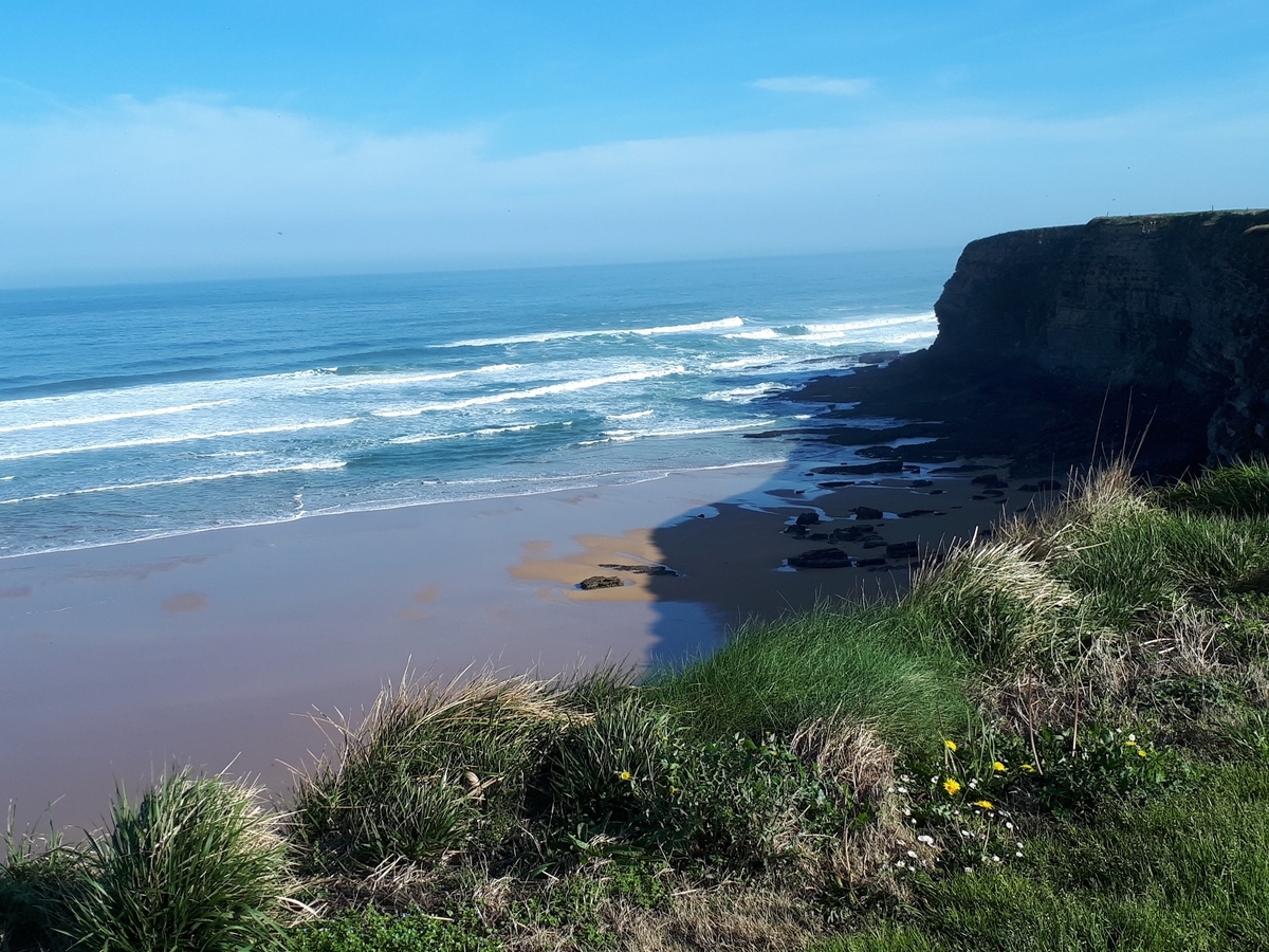 f:id:fleuve_rouge:20190403223813j:plain