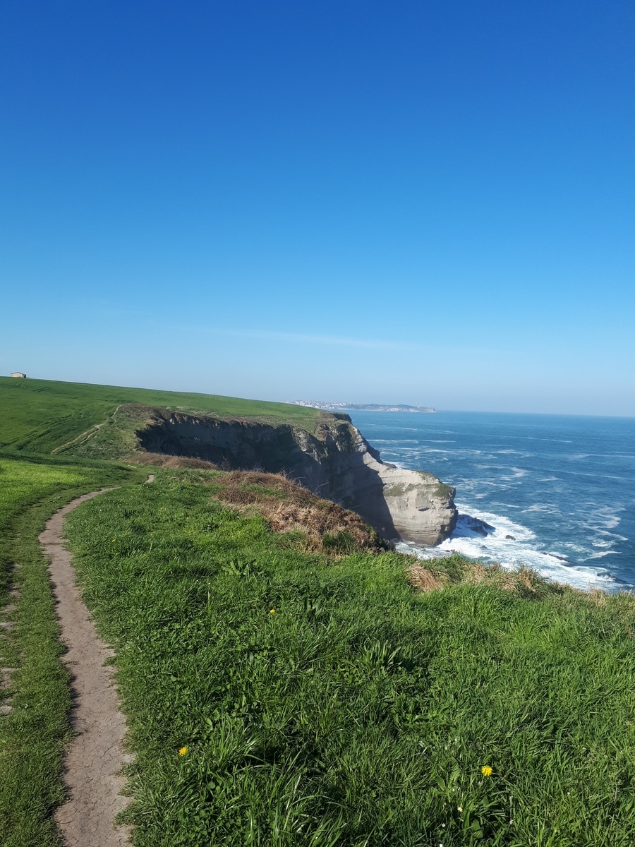 f:id:fleuve_rouge:20190403223957j:plain