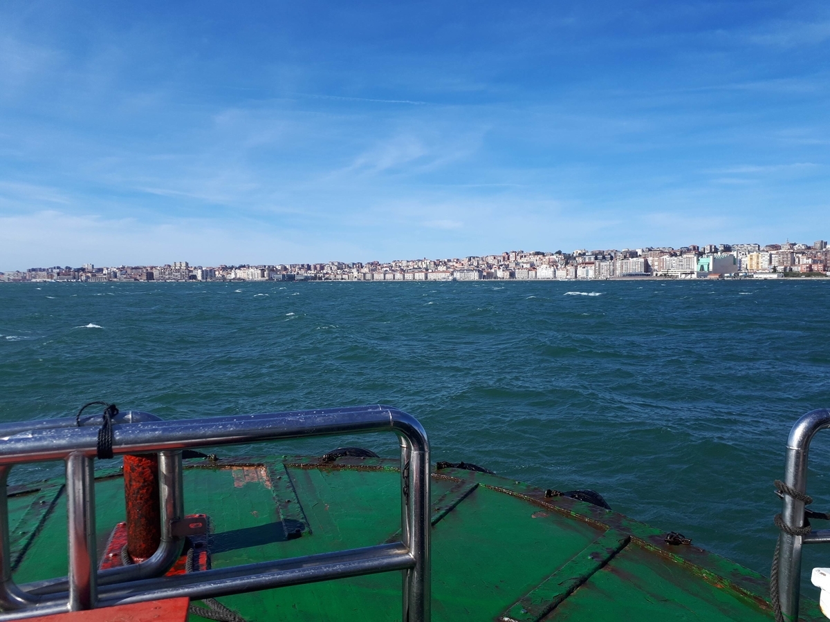 f:id:fleuve_rouge:20190403224201j:plain