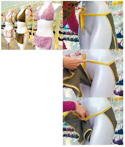 f:id:flexiblefish:20090401090011j:image