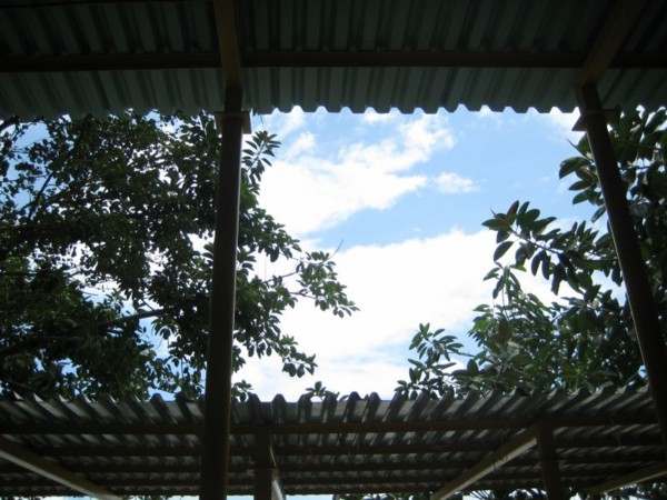 f:id:flexiblefish:20090712092643j:image