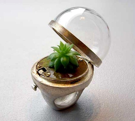 f:id:flexiblefish:20110214214036j:image f:id:flexiblefish:20110214214036j:image