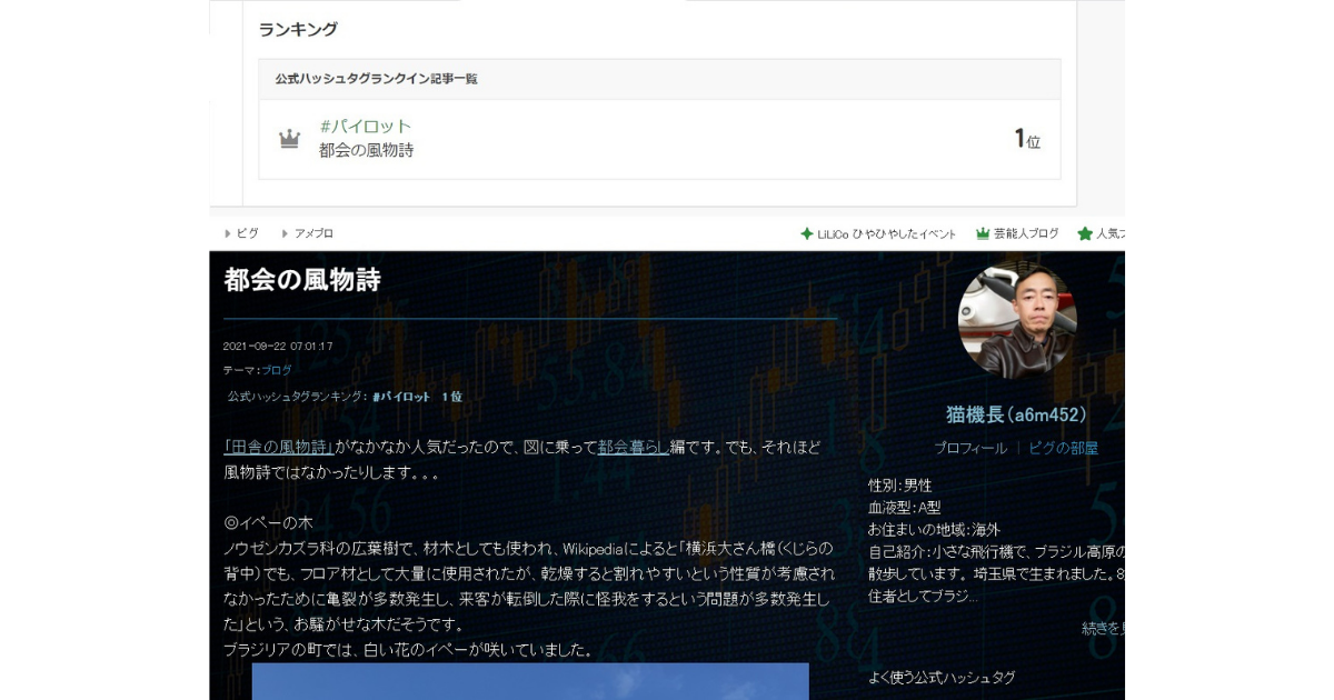 f:id:flightfreedomneko:20211006180436p:plain