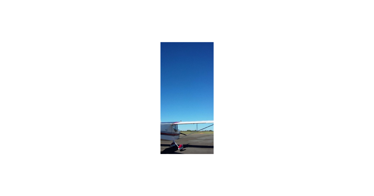 f:id:flightfreedomneko:20220413061115p:plain
