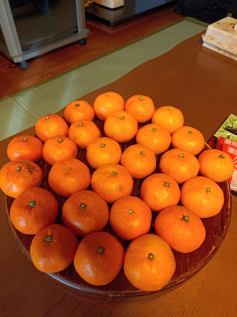 f:id:flo_rvp50:20231221234631j:image f:id:flo_rvp50:20231221234631j:image