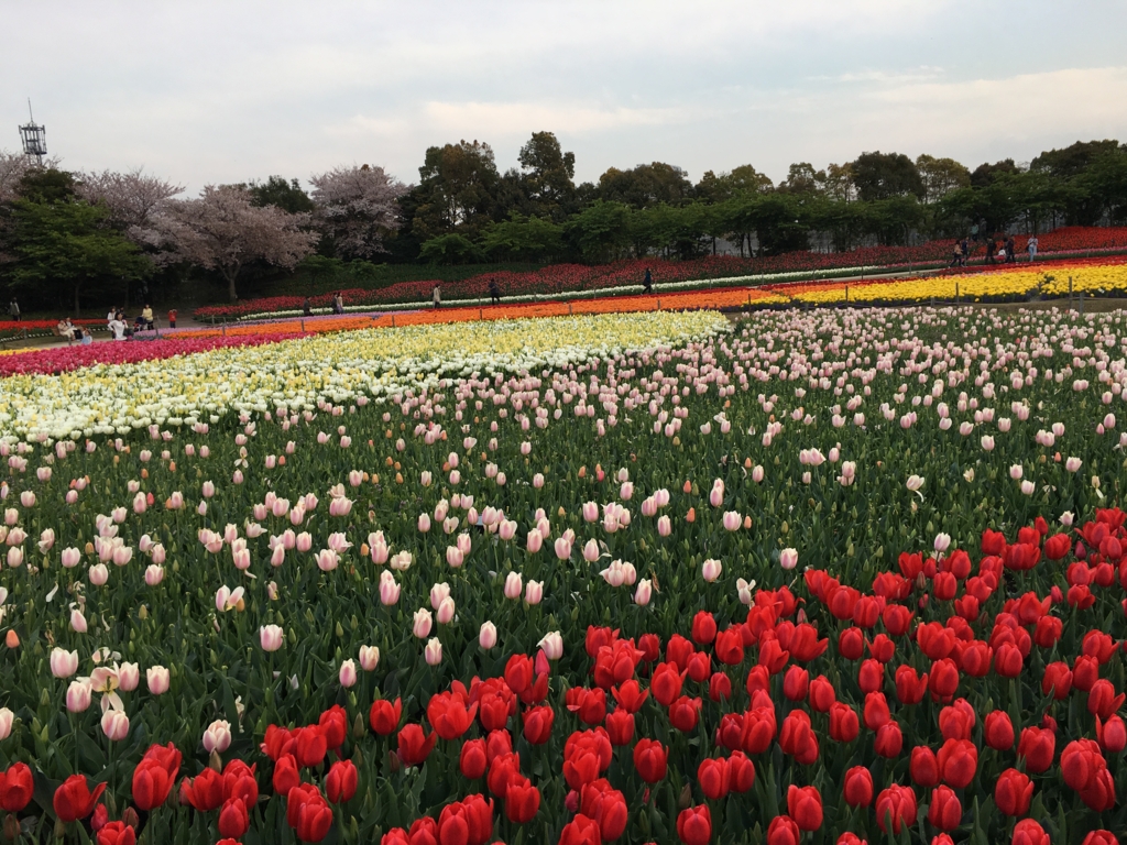 f:id:float_space:20170416201412j:plain
