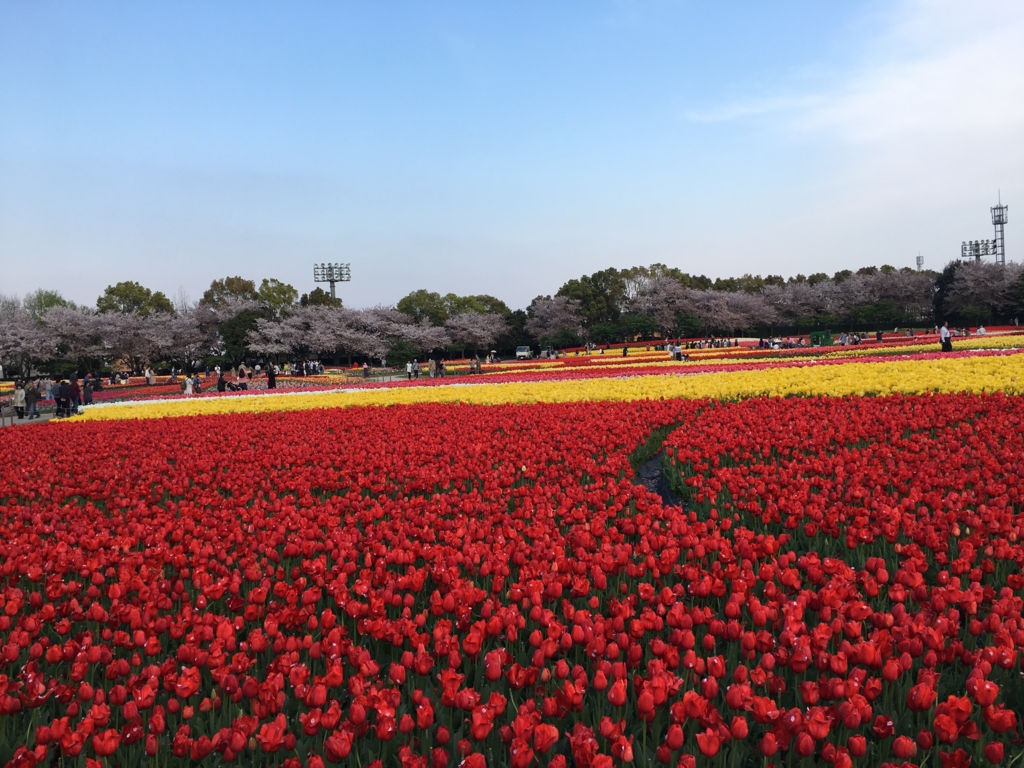 f:id:float_space:20170416201444j:plain