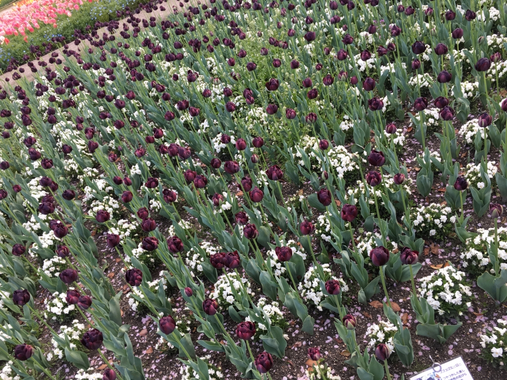 f:id:float_space:20170416202950j:plain