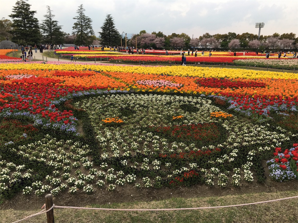 f:id:float_space:20170417011424j:image