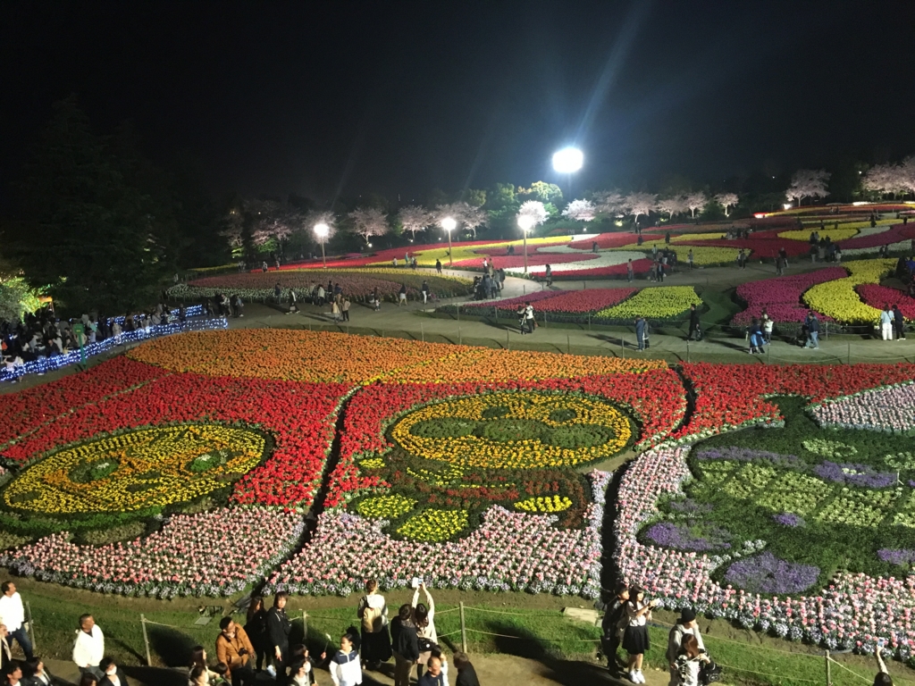 f:id:float_space:20170417232608j:plain