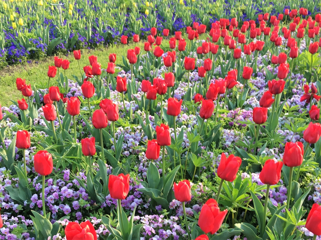 f:id:float_space:20170418211647j:plain