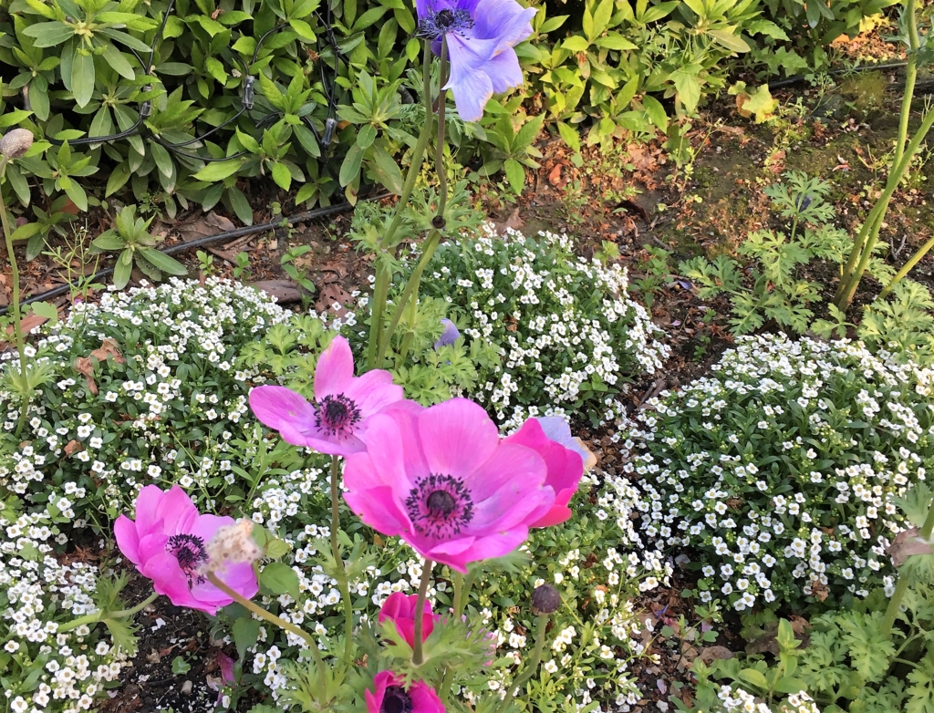 f:id:float_space:20170418211858j:plain