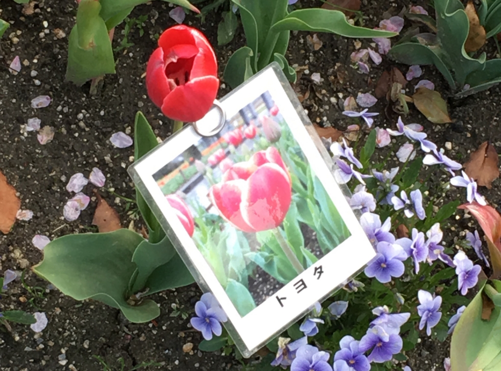 f:id:float_space:20170418212017j:plain