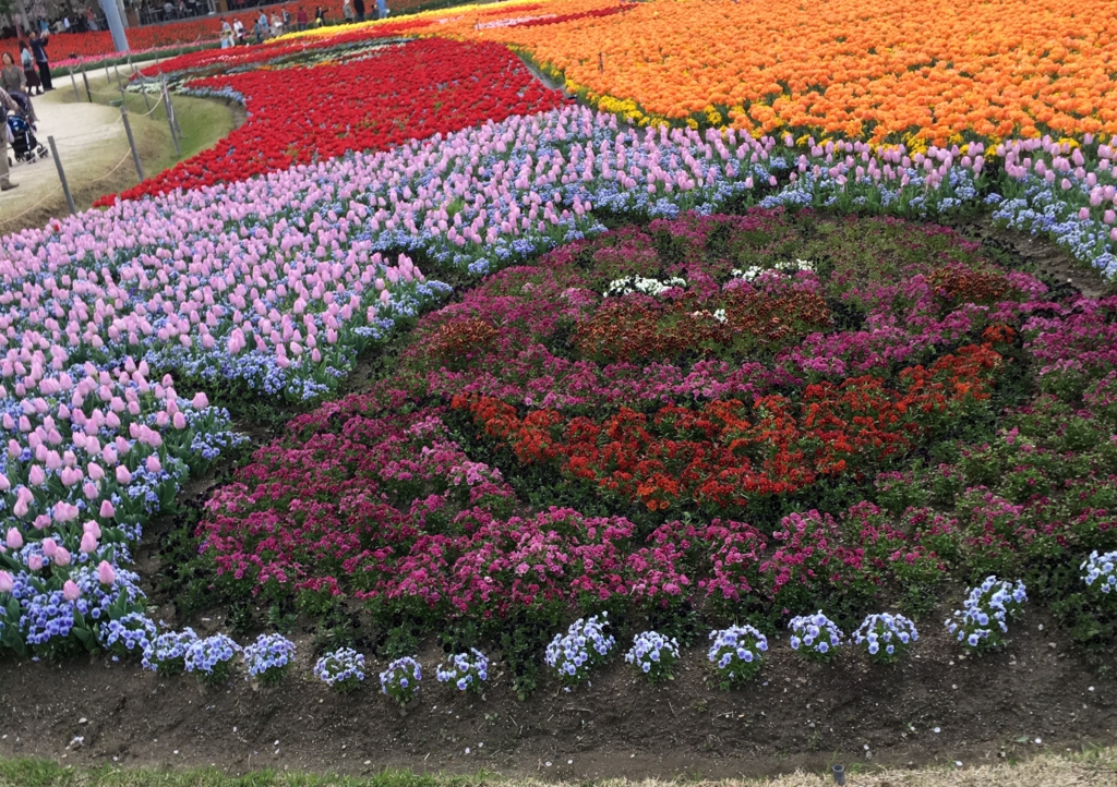 f:id:float_space:20170418212202j:plain