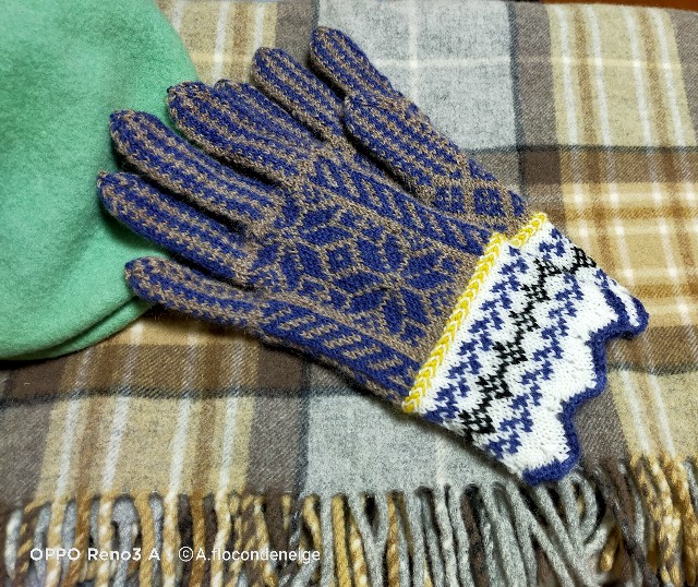 f:id:flocondeneige:20211226121032j:image