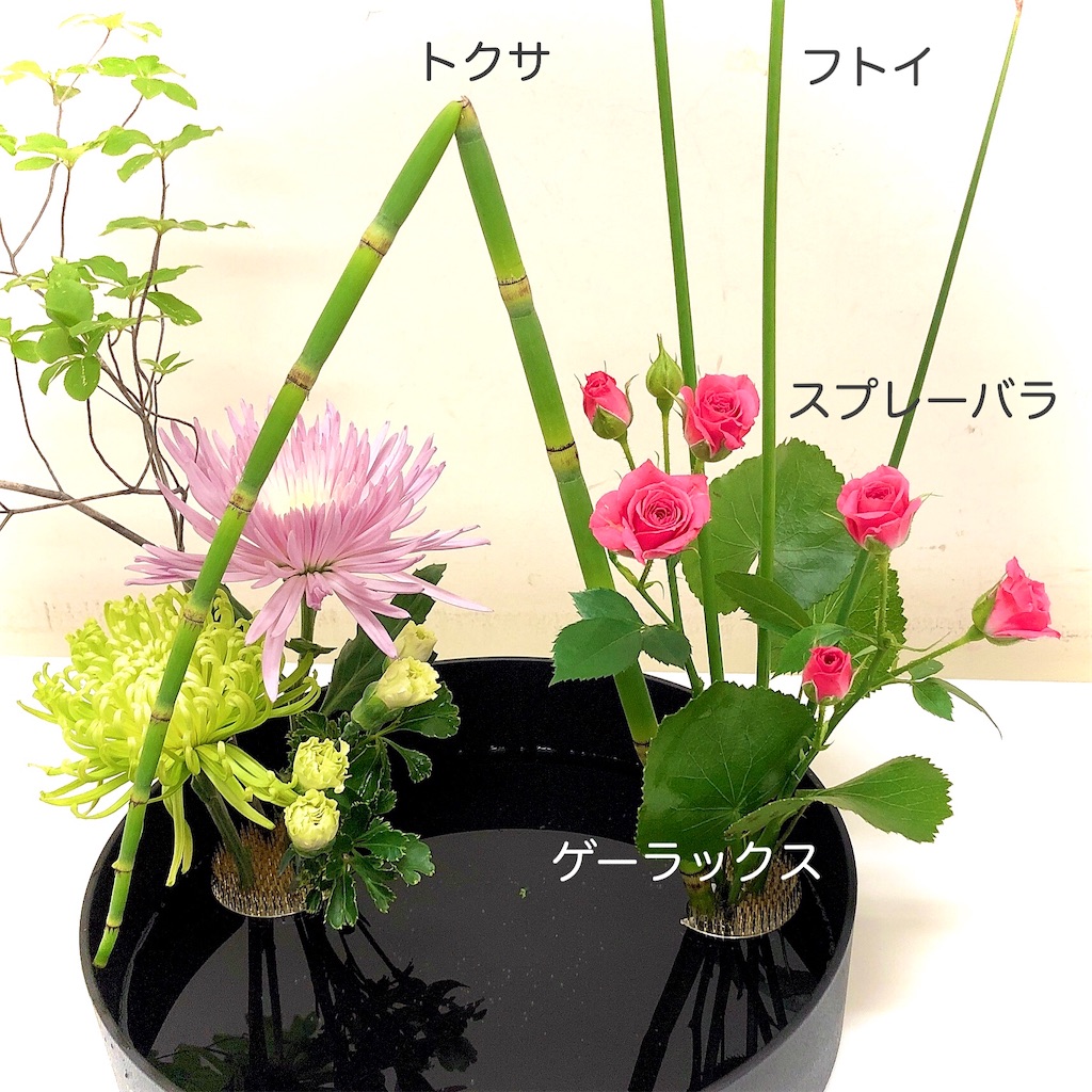 f:id:flonjun:20200902183357j:image