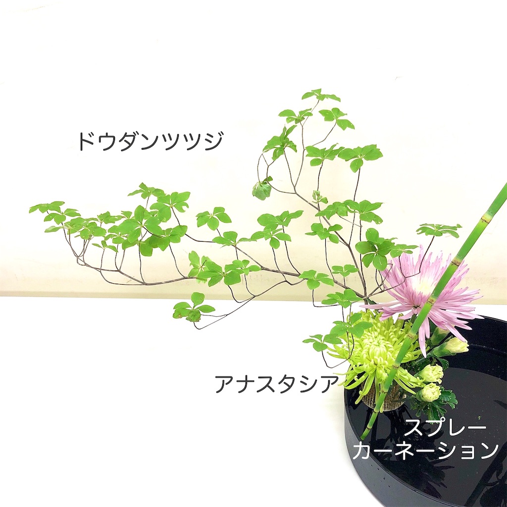 f:id:flonjun:20200902183401j:image