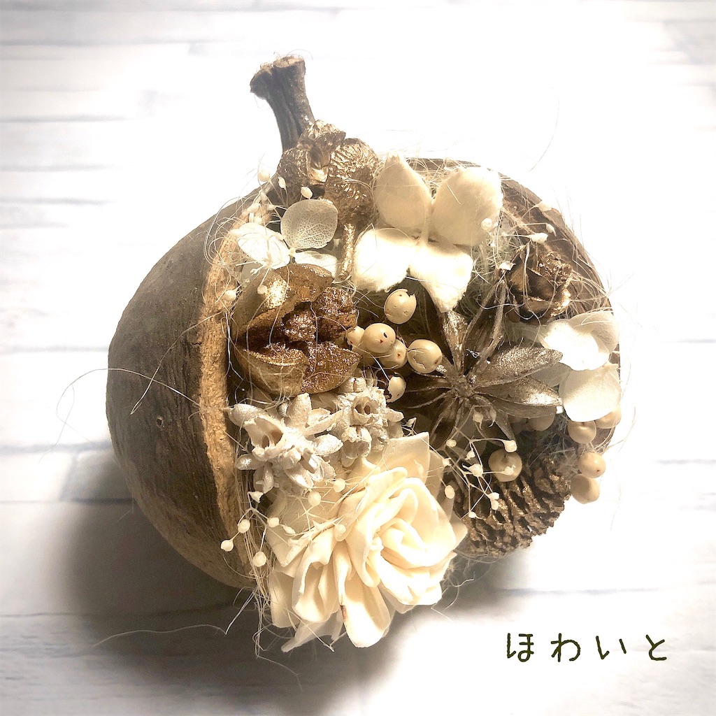 f:id:flonjun:20201018114024j:image
