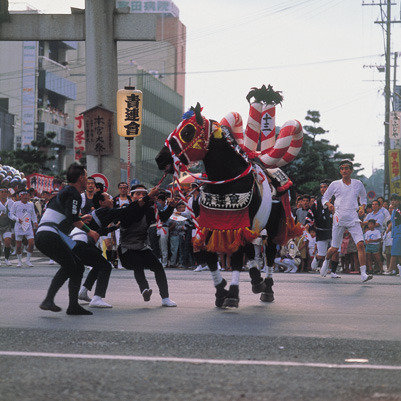 f:id:florachroma:20180914165844j:plain