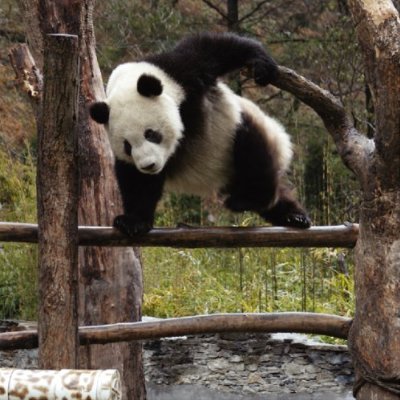 f:id:florachroma:20190214160055j:plain f:id:florachroma:20190214160055j:plain