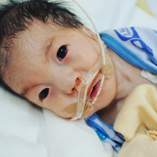 f:id:floresta:20190406115423j:image