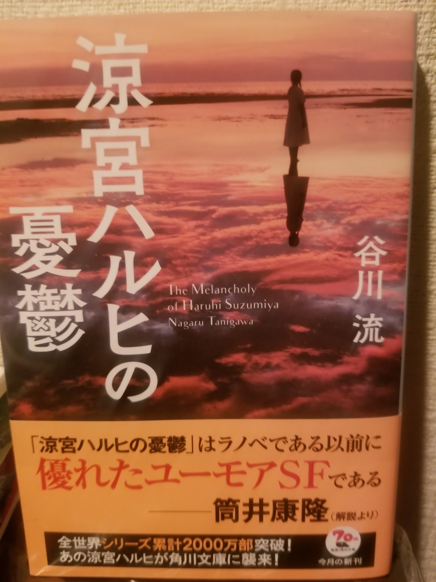 f:id:flow2005:20190126160835j:plain