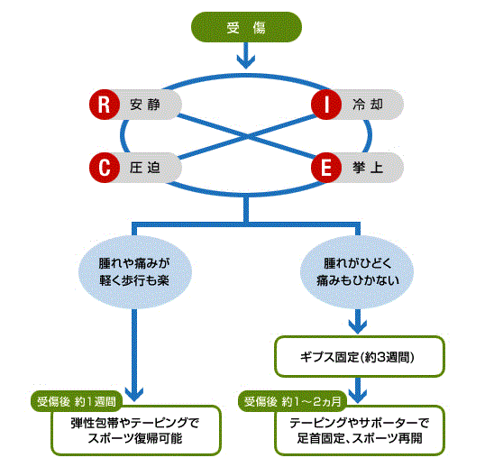 捻挫の応急処置と治るまでの期間の図説