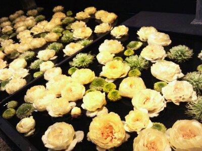 f:id:flower-and-travel:20161015085929j:plain f:id:flower-and-travel:20161015085929j:plain