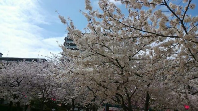 f:id:flower-and-travel:20161028064855j:image f:id:flower-and-travel:20161028064855j:image