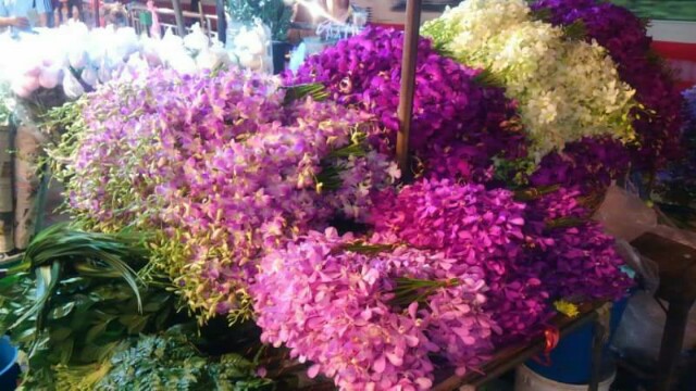 f:id:flower-and-travel:20161029134847j:image f:id:flower-and-travel:20161029134847j:image