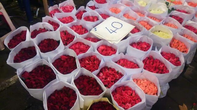 f:id:flower-and-travel:20161029134904j:image f:id:flower-and-travel:20161029134904j:image