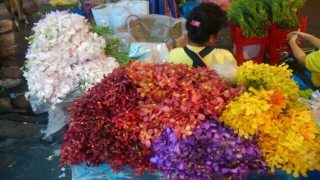 f:id:flower-and-travel:20161029134940j:image f:id:flower-and-travel:20161029134940j:image